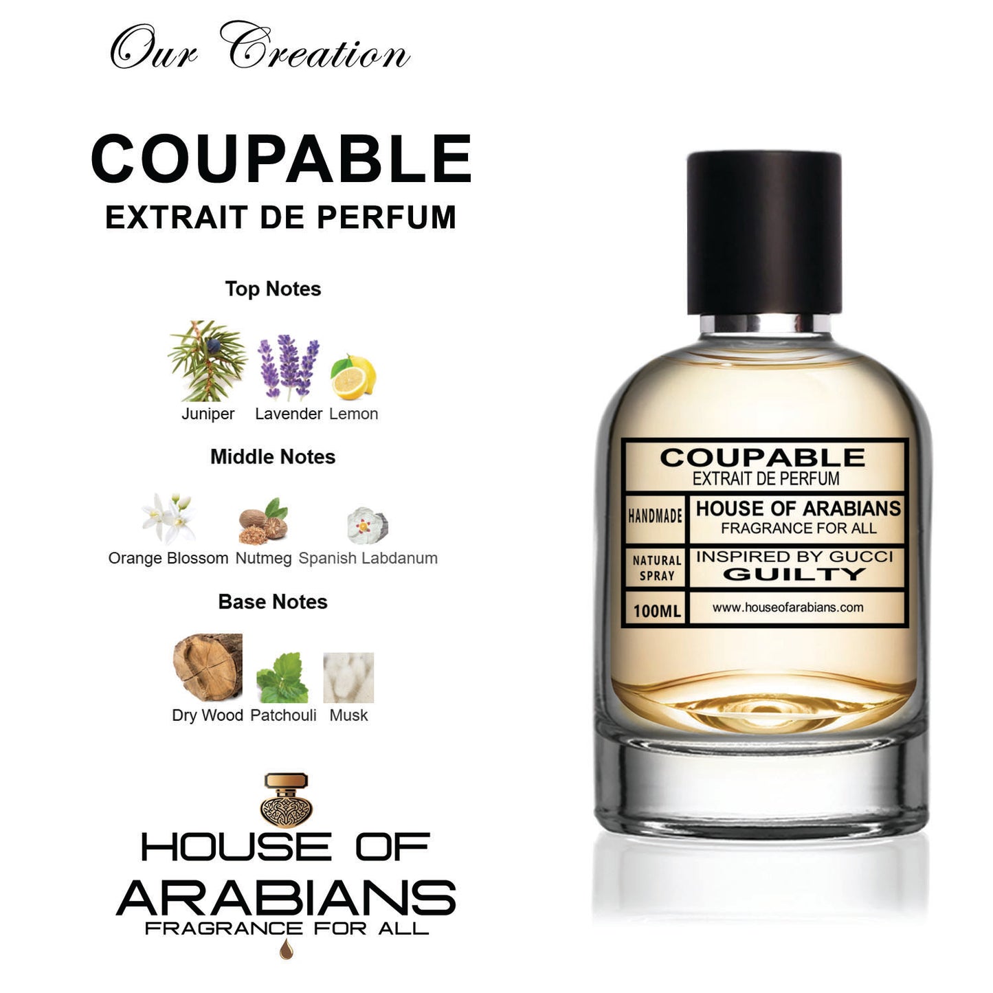 Coupable Our Creation of (Guilty Inspired by Gucci)