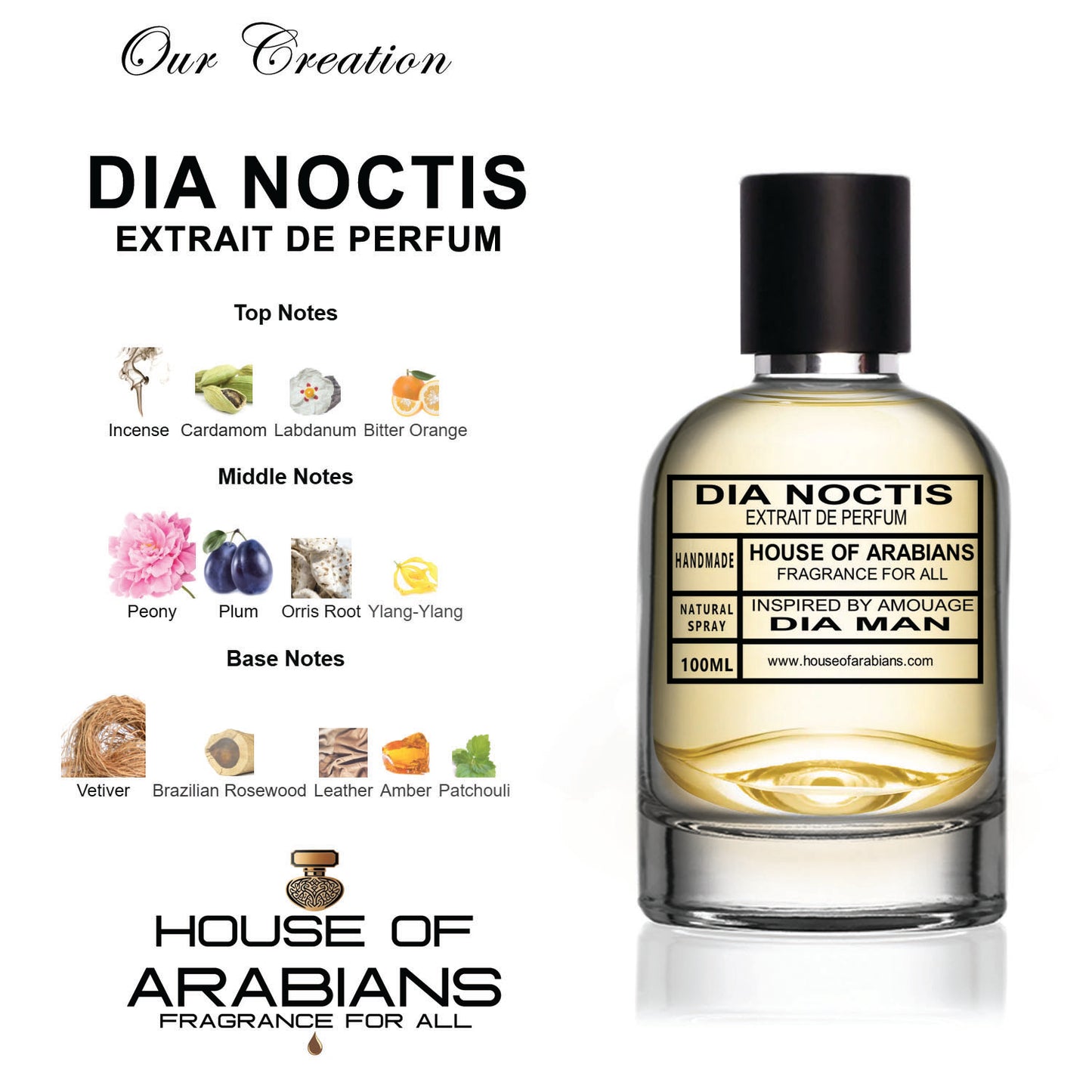 Dia Noctis Our Creation of (Dia Man Inspired by Amouage)