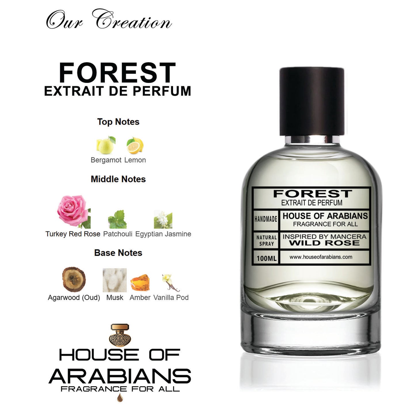 Forest Our Creation of (Wild Rose Inspired By Mancera)