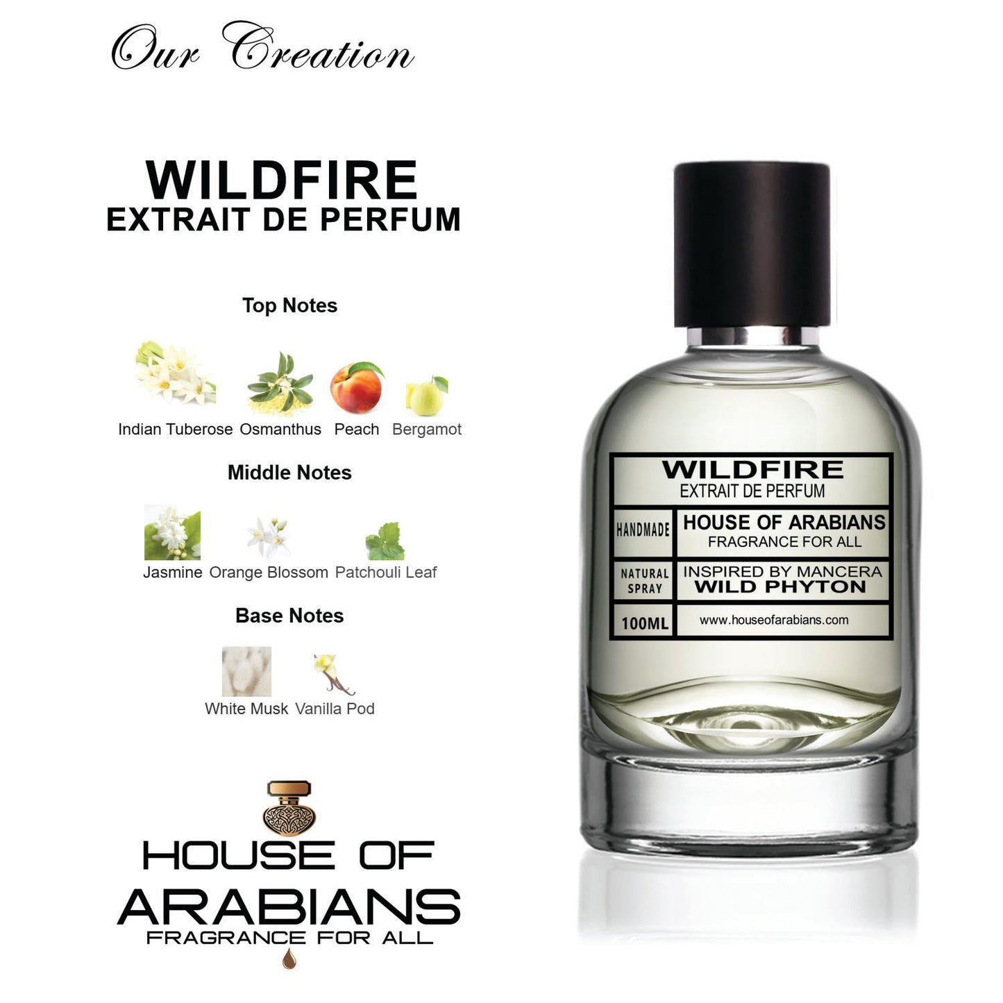 WildFire Our Creation of (Wild Phyton Inspired By Mancera)