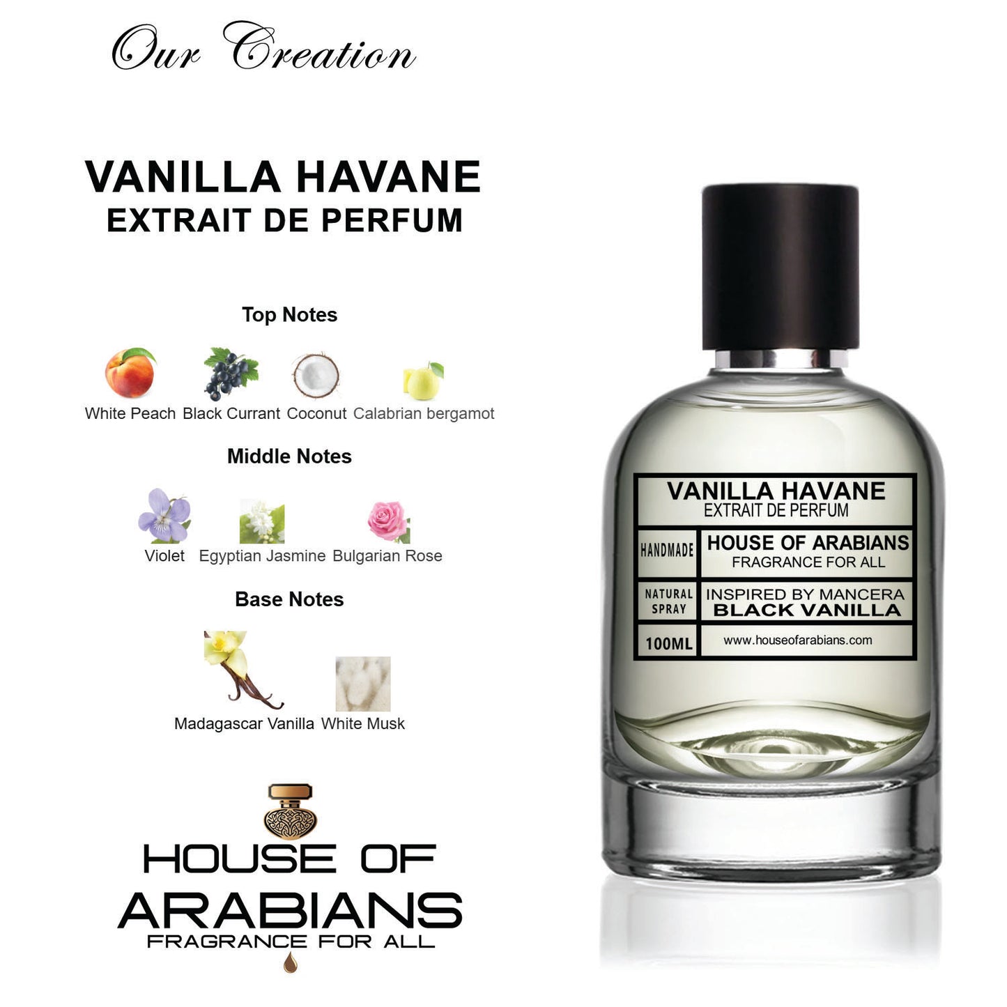 Vanilla Havane Our Creation of (Black Vanilla Inspired By Mancera)