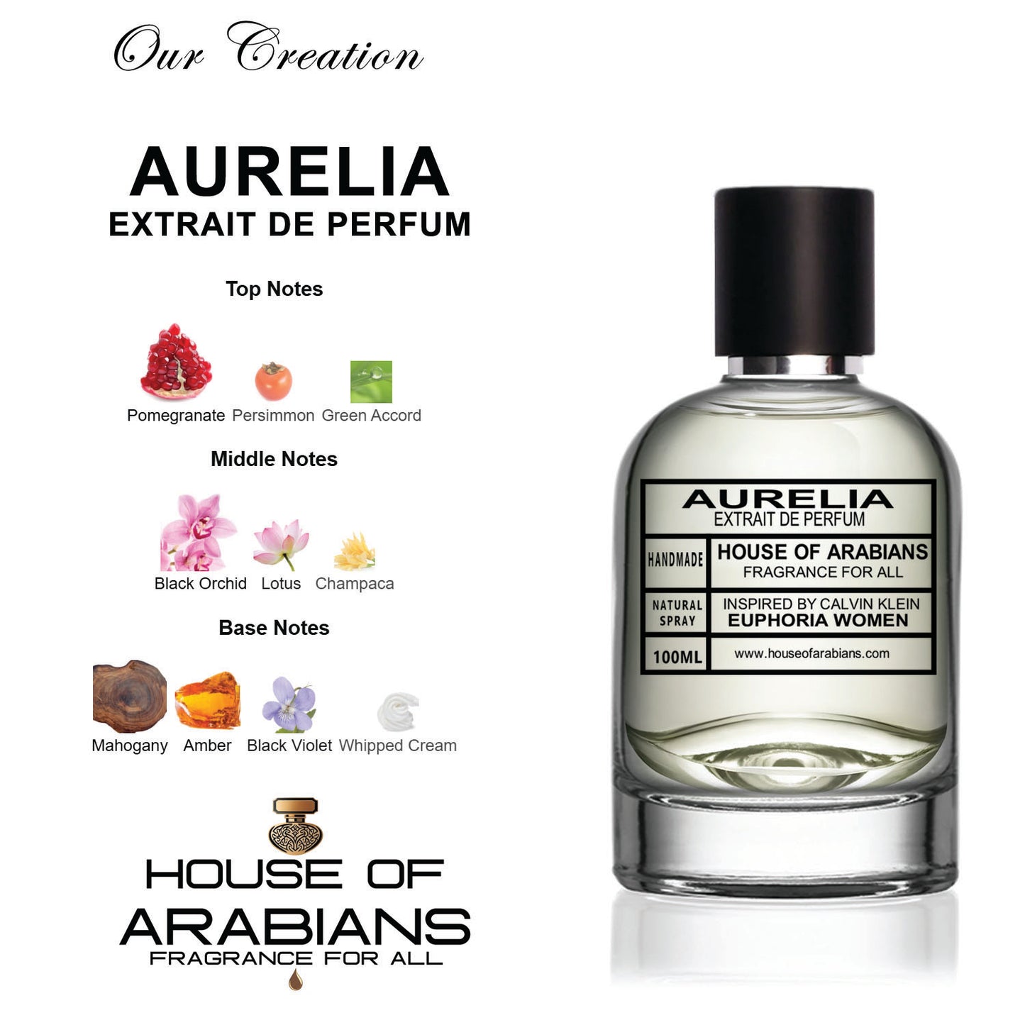 Aurelia Our Creation of (Euphoria Women Inspired By Calvin Klein)
